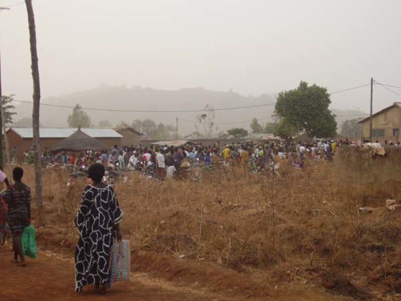 Aperçu du marché de BIÉNALÈ à Pagouda