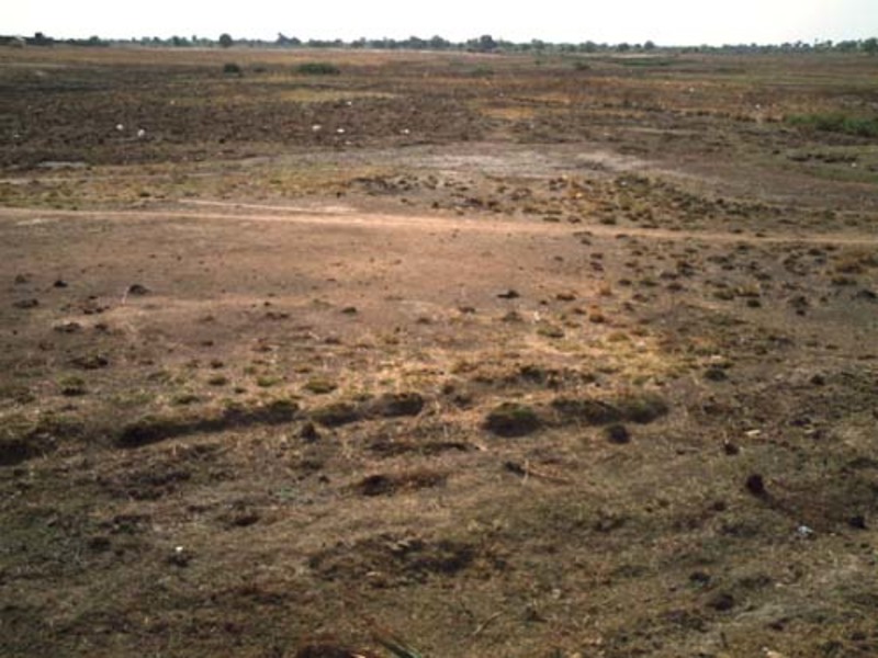 Un paysage typique de la savane...
