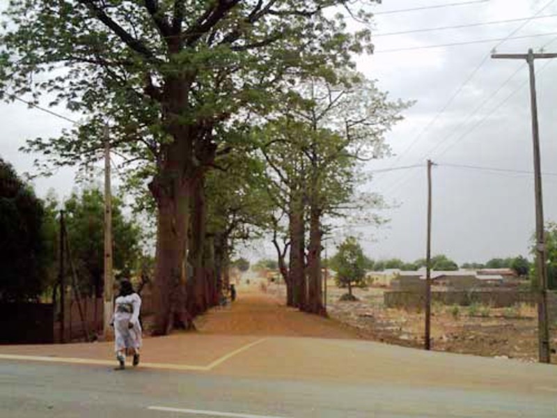 Sur les traces du N°3619